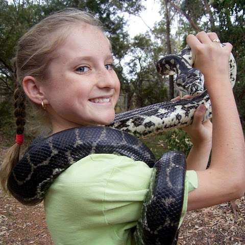 Photo: The West Australian Reptile Park